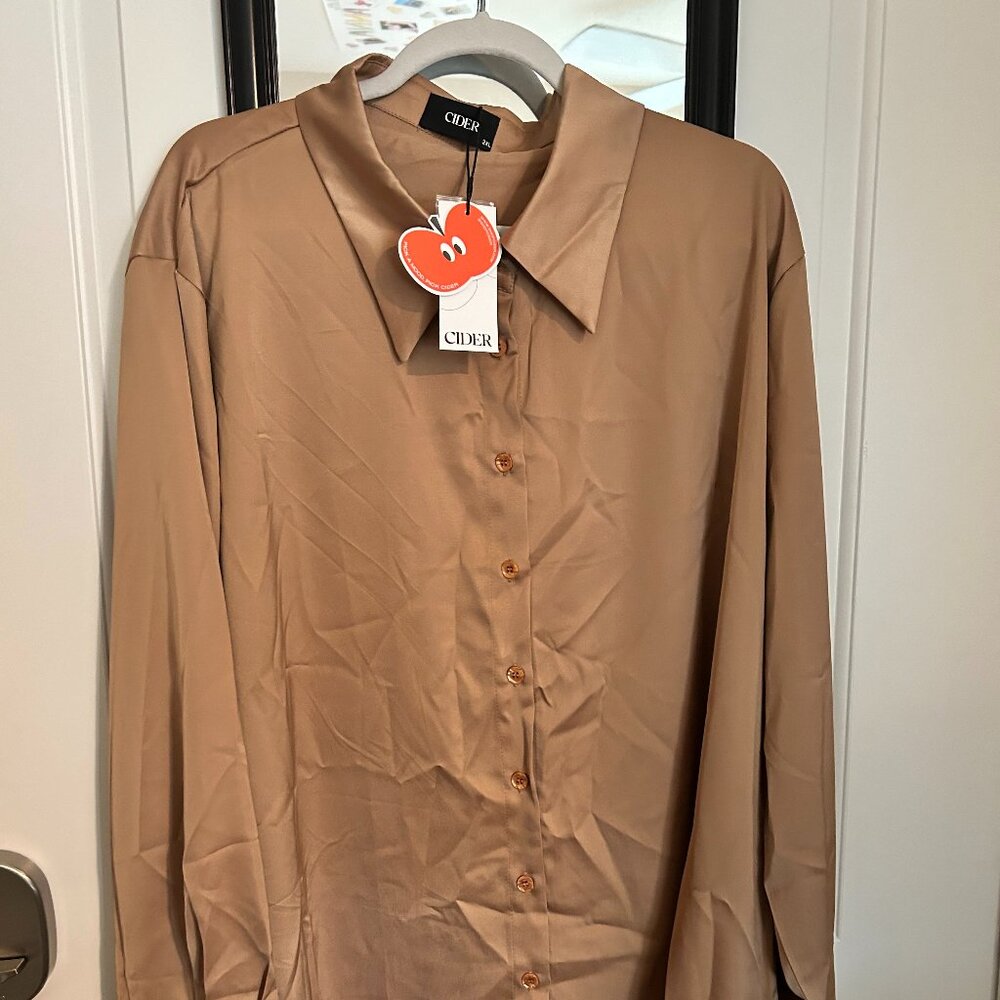 Solid Collar Button Long Sleeve Blouse